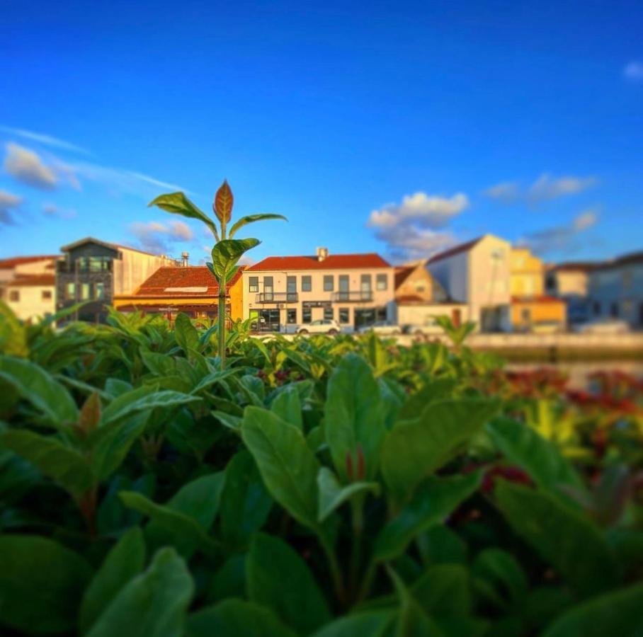 Up Tree Nature Rooms Aveiro Luaran gambar